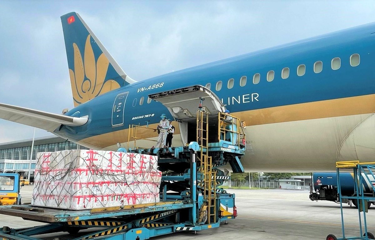 Vietnam Airlines xây dựng đề án hãng hàng không vận tải hàng hóa | Giao thông | Vietnam+ (VietnamPlus)